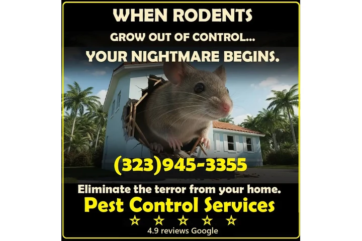 Fumigations - New Year 2026 image 6