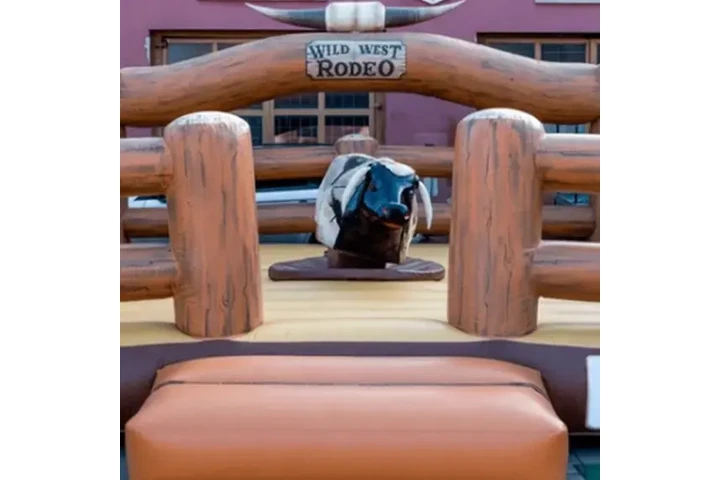 Party Rentals image 3