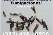 FUMIGACIONES TERMITAS 24/7.- thumbnail