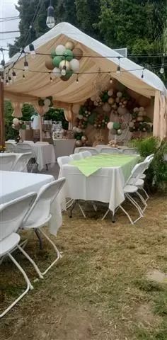 Carpas,arcos deglobos image 4