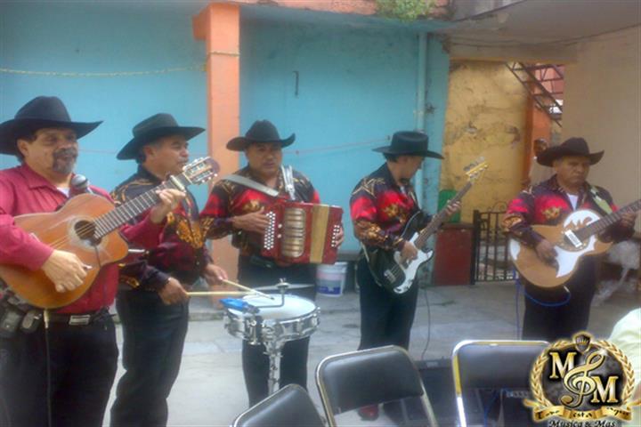 Grupo Musical Jarocho Guayacan image 1