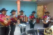 Grupo Musical Jarocho Guayacan