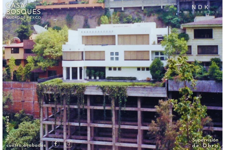 Feliz Día de la Mujer!  4akva2 image 6