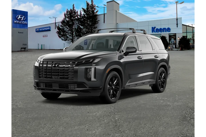 $33995 : Hyundai PALISADE 2023 AWD XR image 1