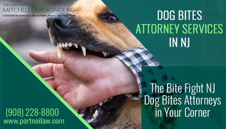 Dog bites attorney services nj image 1