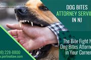 Dog bites attorney services nj