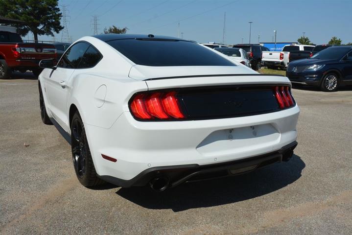 2019 Mustang EcoBoost image 9