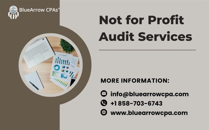 Not for Profit Audit Services image 1