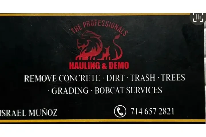 DEMOLICIONES LOS PROFESIONALES image 1