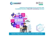 Expert Odoo Consulting Service