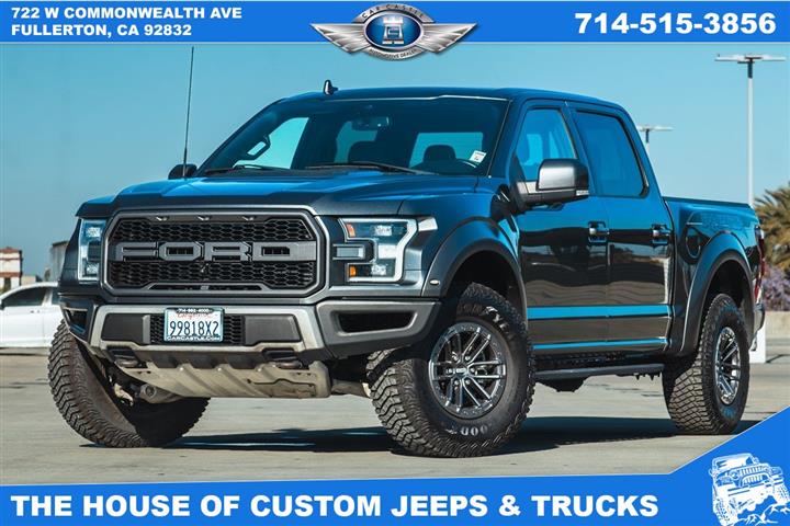 2019 F-150 Raptor image 1