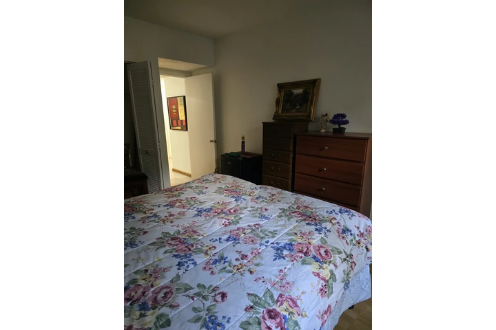 $900 : Rento habitacion grande image 1