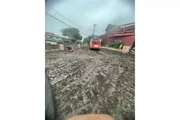 Synthetic Grass & PAVERS thumbnail
