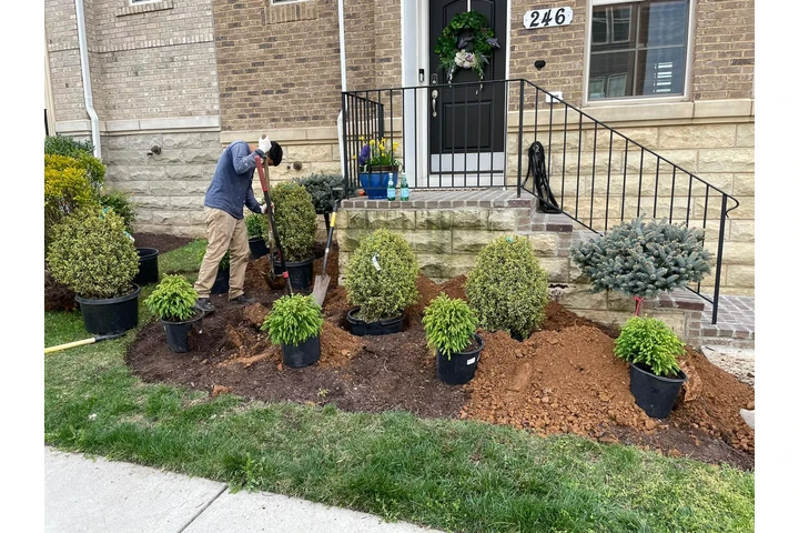 🌳HIDALGO LANDSCAPING SERVICES image 2