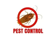 PEST CONTROL FUMIGACIÓN thumbnail