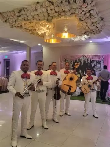 Mariachi image 10