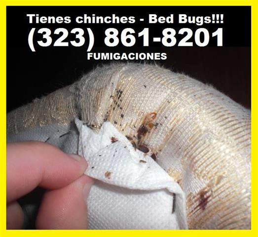 PEST CONTROL.(323)861-8201 image 2