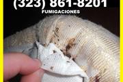 PEST CONTROL.(323)861-8201 thumbnail