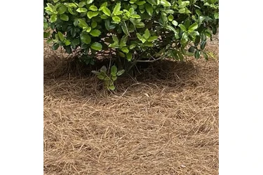 Estimados GRATIS en Raleigh