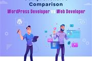 WordPress vs. Web Developer en Wilmington