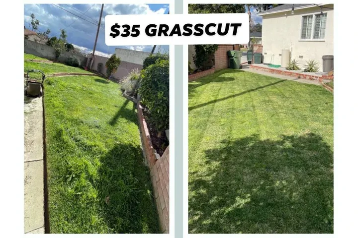 Corte de pasto 🏡$35 image 2