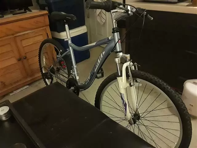 $150 : Bicicleta Schwinn como nueva image 1