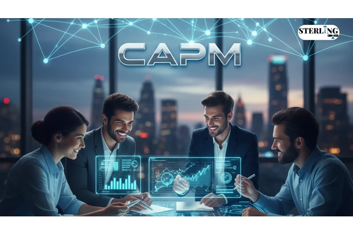 CAPM Certification Training image 1