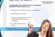 Trabajo en doral