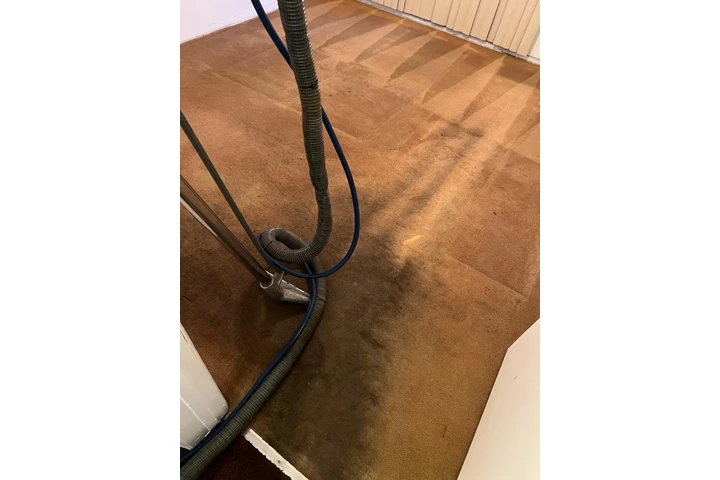 Limpieza de Alfombra y Hogar image 3