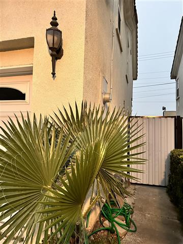 $1250 : Cuarto en un gated community image 8