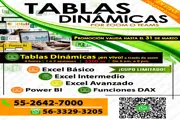 Clases TABLAS DINÁMICAS Zoom en Mexico DF