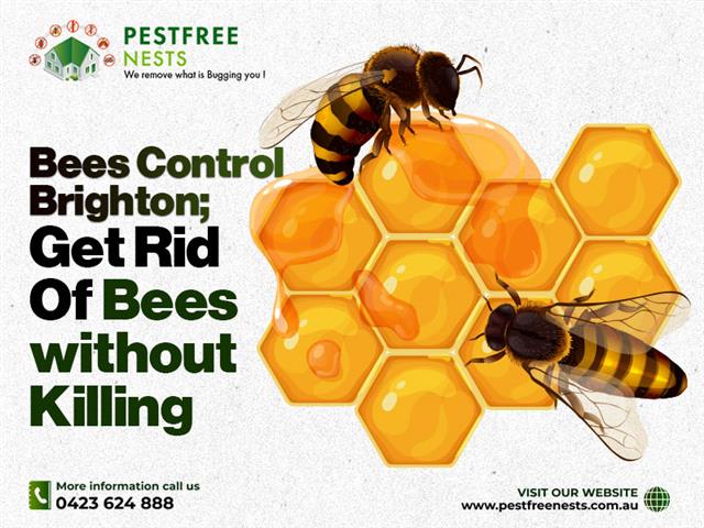 Pest Control Melbourne image 6