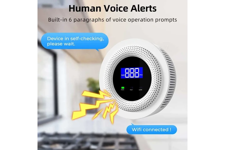 $19 : Smart Home WIFI Gas Detector image 3