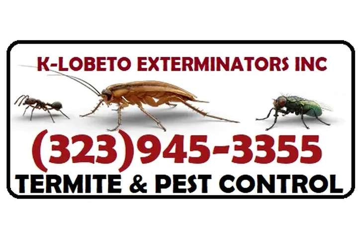 FUMIGACIONES LONCHERAS🌮TACOS. image 10