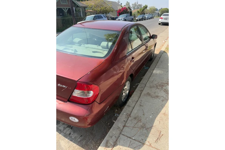 $2000 : Salbaje image 3