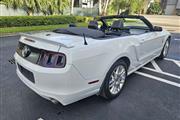 Mustang 2014!