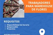 OFERTA TEMPORADA DE FLORES