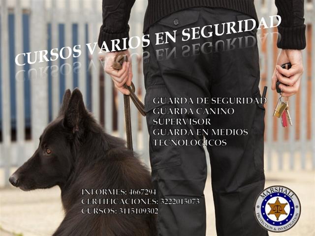 CURSOS VARIOS image 7