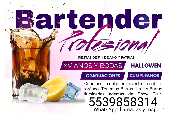 Bartender y coctelería image 1