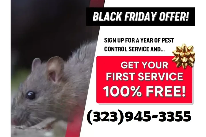 "Fumigaciones Accion Gracias" image 3