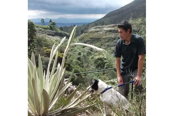 Instructor canino image 1