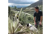 Instructor canino en Bogota