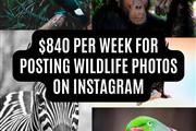 $840/w posting wildlife photos