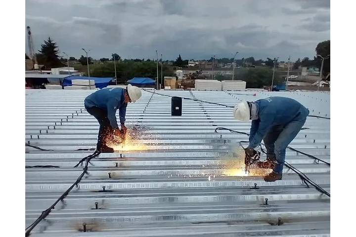 PERNEADORA NELSON EN RENTA image 8