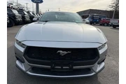 $36700 : Ford Mustang 2024 EcoBoost P thumbnail