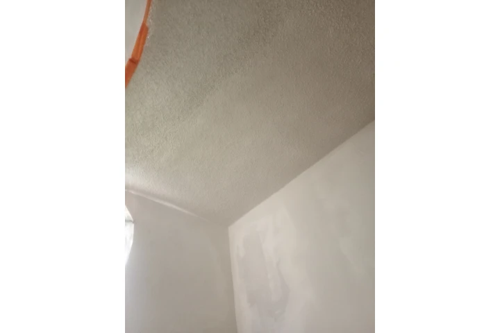 Painting & maintenance image 3