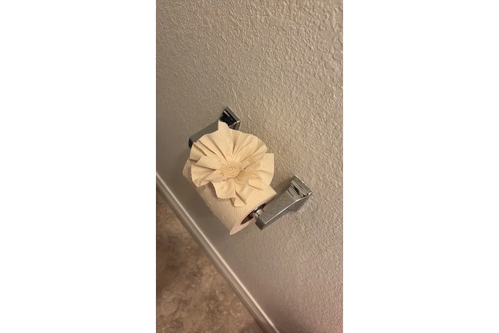 House cleaner image 3