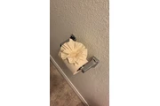 House cleaner thumbnail