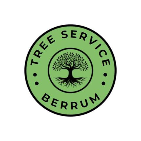 Tree Service Berrum image 4