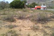 $7500 : TERRENO 360M2 LOS ROBLES Venta thumbnail